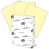 image:imageHammermill Colored Paper 20 lb Lilac Printer Paper 85 x 111 Ream 500 Sheets  Made in the USA Pastel Paper 102269CCanary