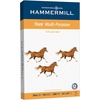 image:imageHammermill Paper Fore Multipurpose Paper 85x11 Letter 24lb 96 Bright  1 Pallet  32 Cartons  160000 Sheets 103283P1 Ream  500 Sheets