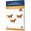 image:imageHammermill Paper Fore Multipurpose Paper 85x11 Letter 24lb 96 Bright  1 Pallet  32 Cartons  160000 Sheets 103283P1 Ream  500 Sheets