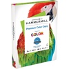 image:imageHammermill Printer Paper Premium Color 28 lb Copy Paper 85 x 11  1 Pallet 32 Cases 160000 Sheets  100 Bright Made in the USALetter 85x11